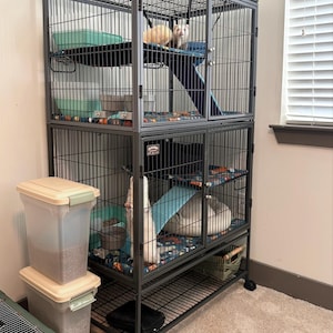 Carmen added a photo of their purchase