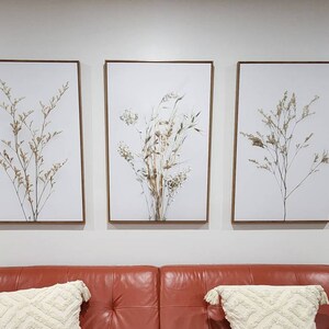 Framed Canvas Wall Art Prints Set of 3 Wildflower Floral Botanical Art ...