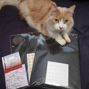 Laura ha añadido una foto de su compra