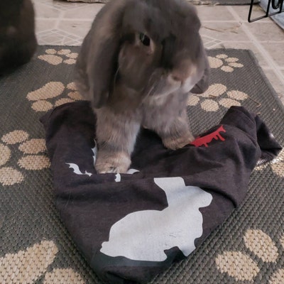 Funny Bunny Shirt, Bunny Mom T-shirt, Rabbit Lover Tshirt Gift, Easter