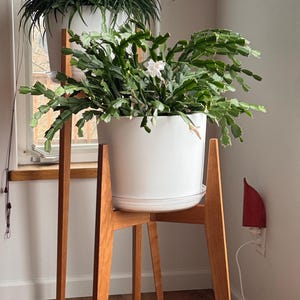 Janie added a photo of their purchase