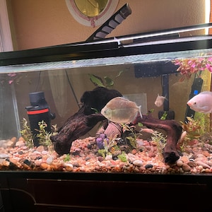 Sarahy added a photo of their purchase