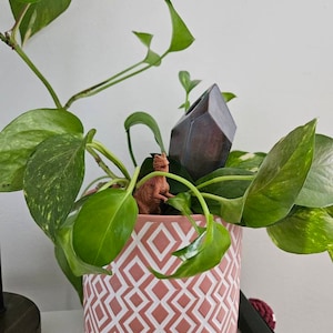 Kelsey added a photo of their purchase