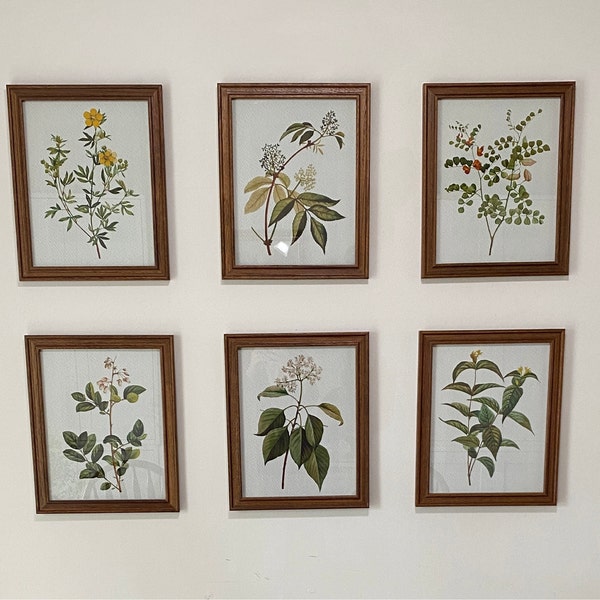Vintage Botanical Prints Gallery Wall Set of 8, Floral Poster ...