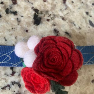 Carol added a photo of their purchase