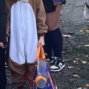 Pyjama Onesie Ornithorynque Adulte – Combinaison Platypus Fun – Halloween Carnaval Noël Cosplay – Chaud Doux Poches Capuche