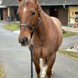 Katrin added a photo of their purchase