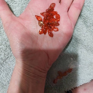 Etsy buyer added a photo of their purchase