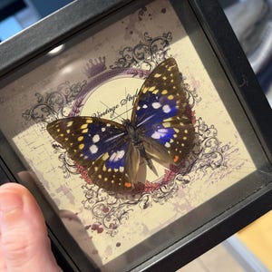 Brittney added a photo of their purchase