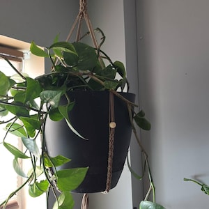 Michael added a photo of their purchase