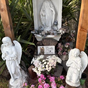 Kloei added a photo of their purchase