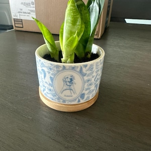 Savannah added a photo of their purchase