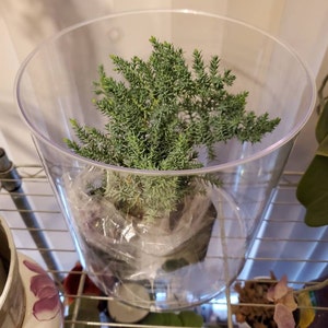 Linda added a photo of their purchase