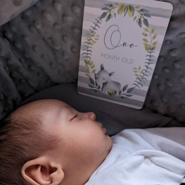 Biglietti Per Tappe Fondamentali Del Bambino, Ragazzo, Fattoria