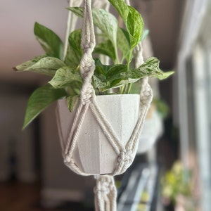Michelle added a photo of their purchase
