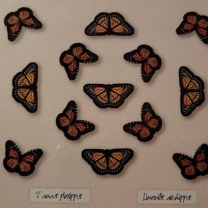 Realistic Paper Butterfly, Double-sided, Butterfly Paper-cut Craft Cutouts - "apollo" - 3 Piece Set - Canada