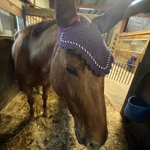 Cinnamon added a photo of their purchase