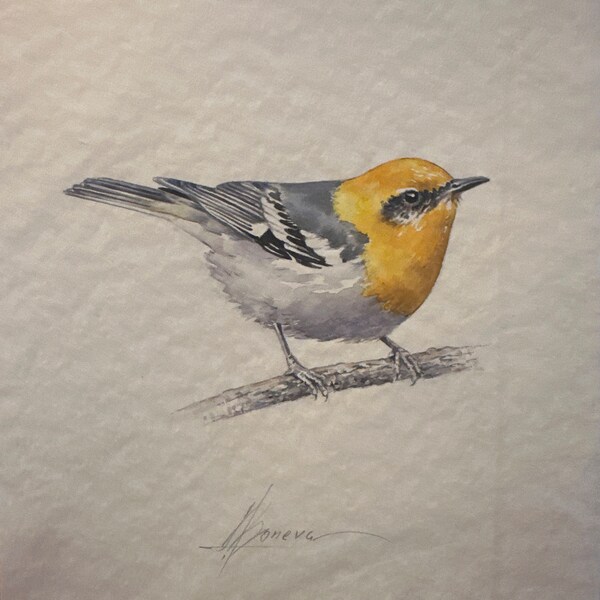 Robin Bird Watercolor Painting, Handmade Artwork, Bird Wall Decor - Etsy