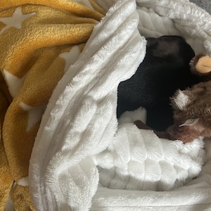 Mel added a photo of their purchase