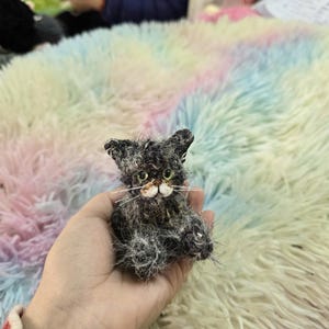 Charlotte added a photo of their purchase