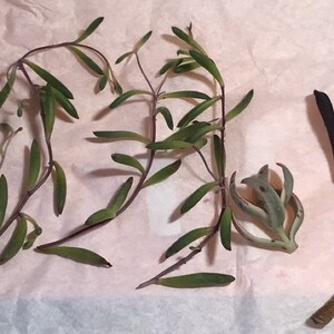 Beth added a photo of their purchase