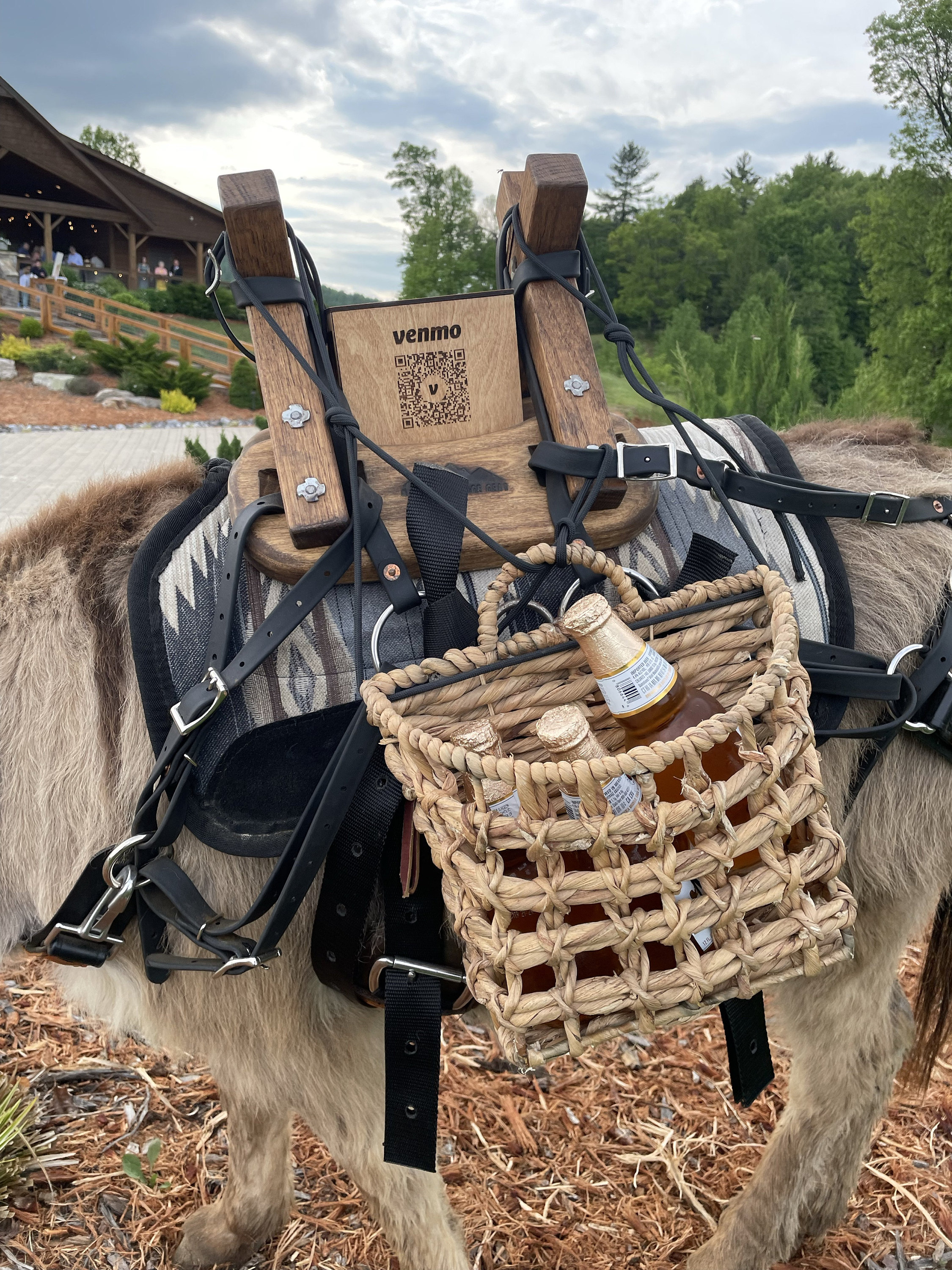 Personalized Wooden QR code Tipping Box, Custom Made Money Box, Charity Box with QR code, Wooden Donation Box, Charity Box, Wood Piggy Bank