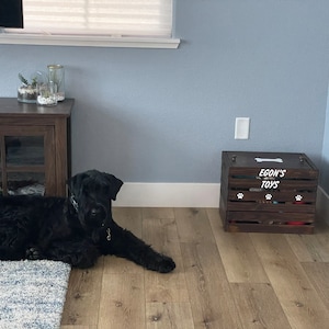 Maria added a photo of their purchase