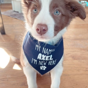 Nora added a photo of their purchase