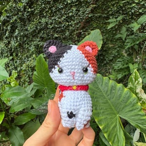 Elizabeth added a photo of their purchase