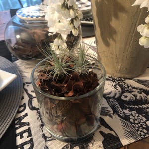 Rebeca added a photo of their purchase