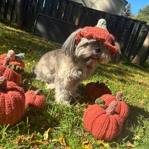 Mackenzie added a photo of their purchase