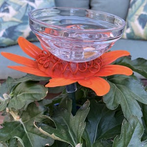Shana added a photo of their purchase