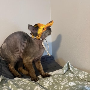 Pranovo Sphynx Cat Ear Protector Hat | Adjustable Warm Hat For Hairless Cats - Yellow Synthetic Fabric