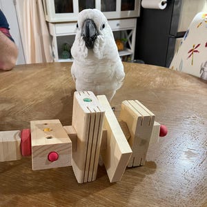 Buster ha añadido una foto de su compra
