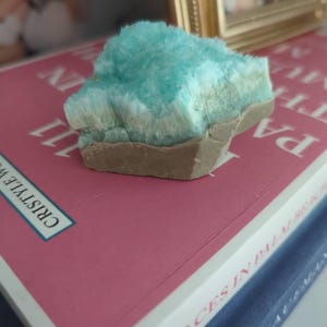 Suzanne added a photo of their purchase