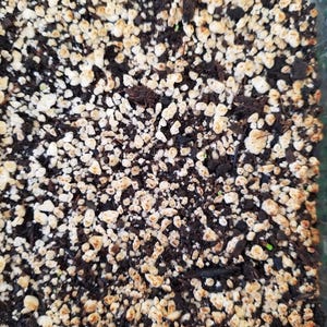 Tracy dodał(a) zdjęcie swoich zakupów