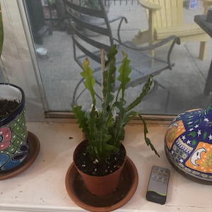 Tim added a photo of their purchase