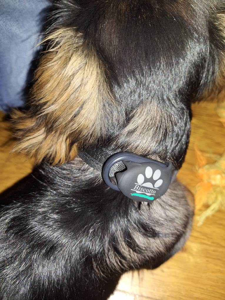 Engraved Silicone Dog Airtag Case,Silent Dog Tag Protective Case,Personalized Pet Air Tag Case,Custom Slide on Pet/Dog/Cat Tag Collar Holder