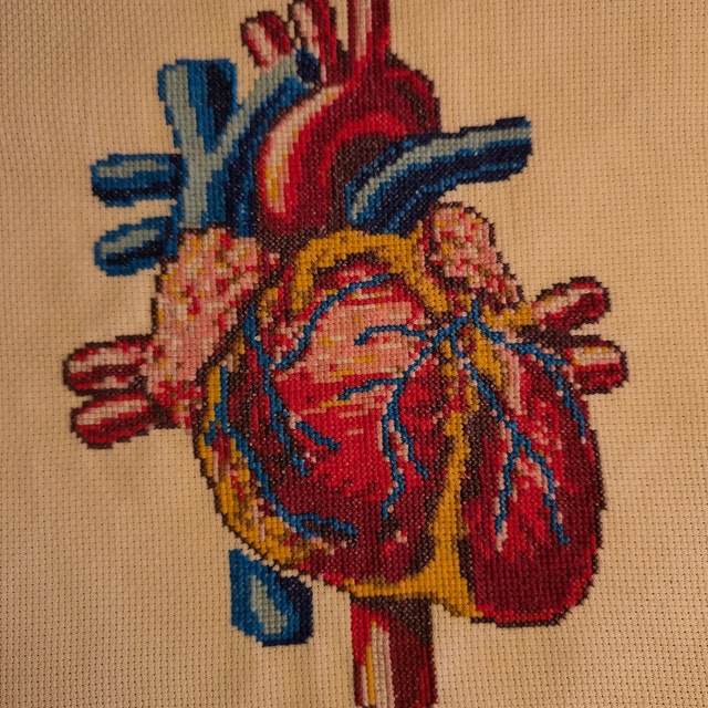 Anatomical Heart Cross Stitch Pattern Human Heart Embroidery