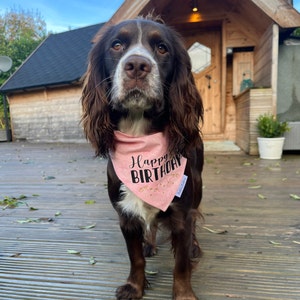 Louisa added a photo of their purchase