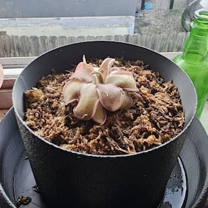 Rob added a photo of their purchase