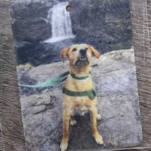 Jan adicionaram uma foto da sua compra