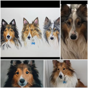 Megan added a photo of their purchase