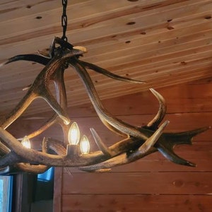 katie added a photo of their purchase