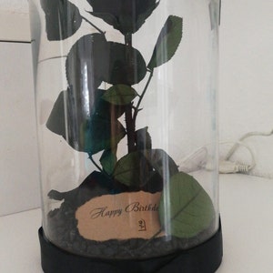 Azeem added a photo of their purchase