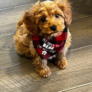 Jill added a photo of their purchase