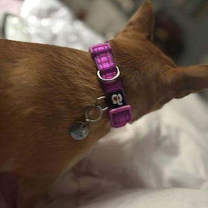 Venus added a photo of their purchase