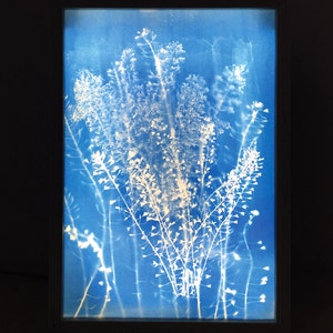 bettina さんが購入した商品の写真を追加しました