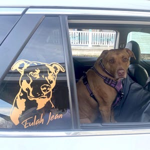 Susan added a photo of their purchase