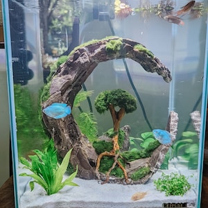 Aquascape collé en pierre ancienne pour nano aquarium -  France